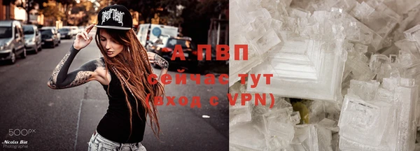 крисы Беломорск