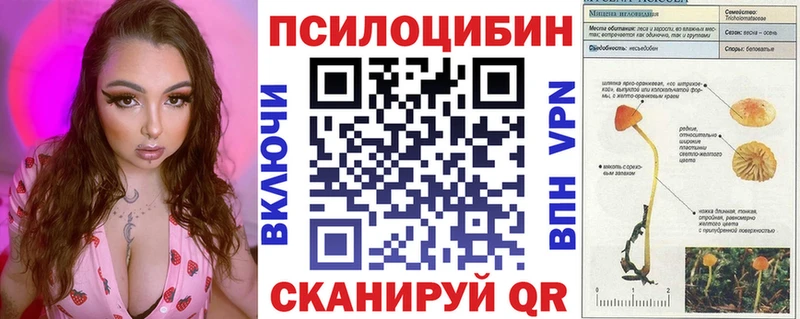 Псилоцибиновые грибы Cubensis  darknet клад  Емва 